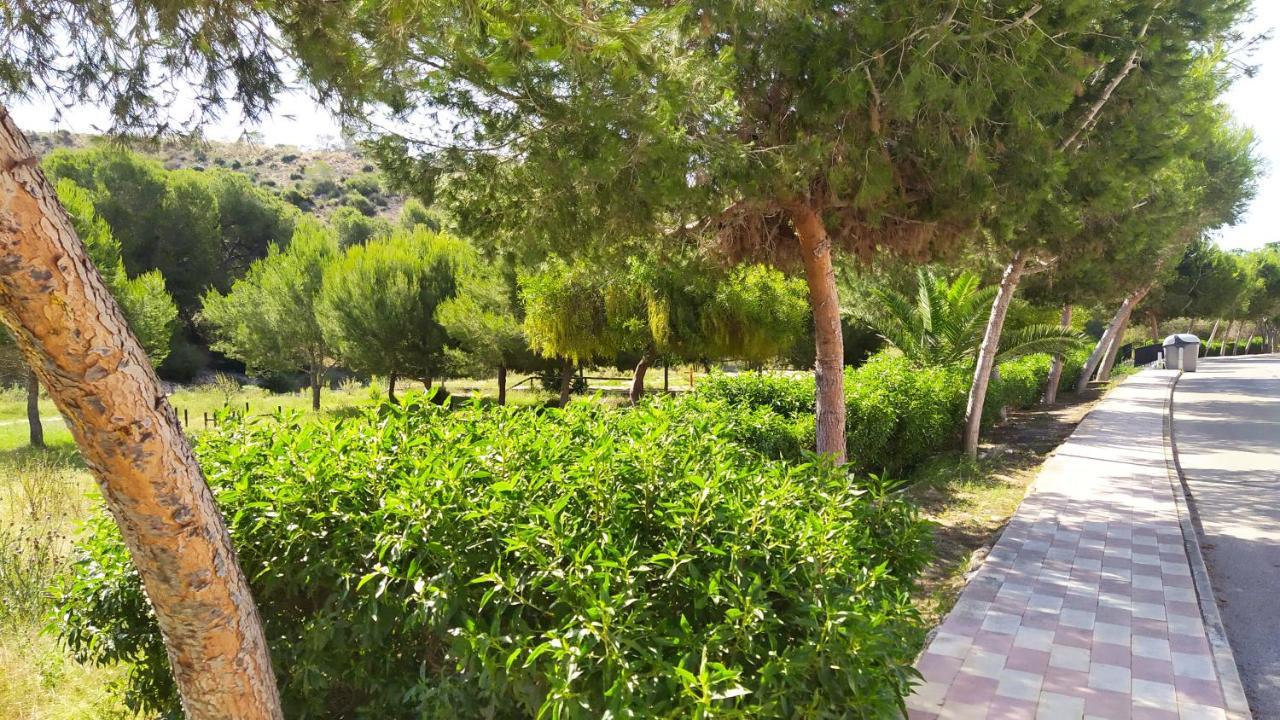 Alojamiento En Urb La Marina San Fulgencio المظهر الخارجي الصورة