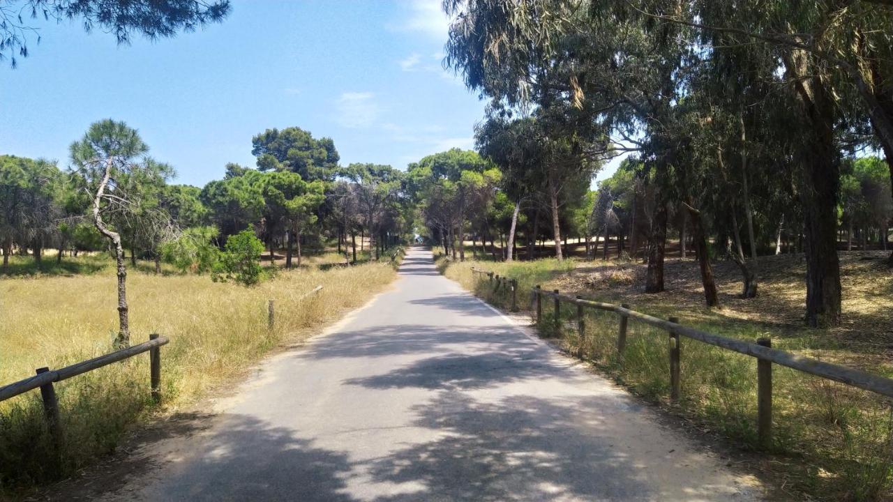 Alojamiento En Urb La Marina San Fulgencio المظهر الخارجي الصورة